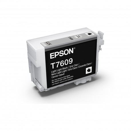 Epson 760 Lgt Lgt Blk Ink Cart